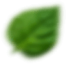shape